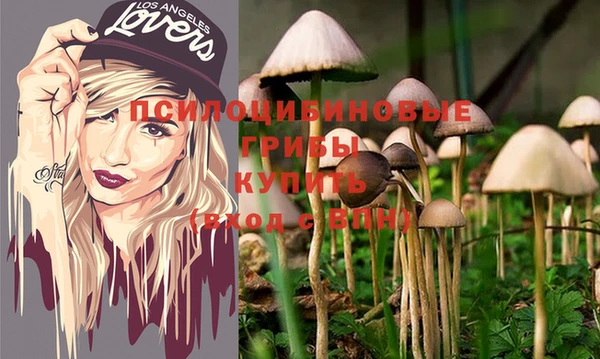 ALPHA-PVP Козельск