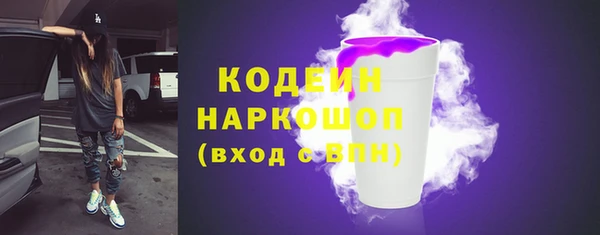 твердый Корсаков
