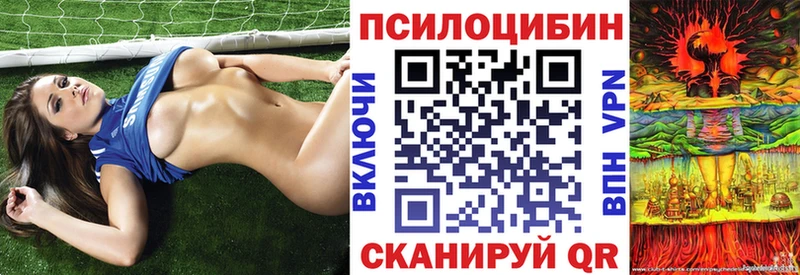 omg зеркало  где купить наркоту  Княгинино  Галлюциногенные грибы GOLDEN TEACHER 